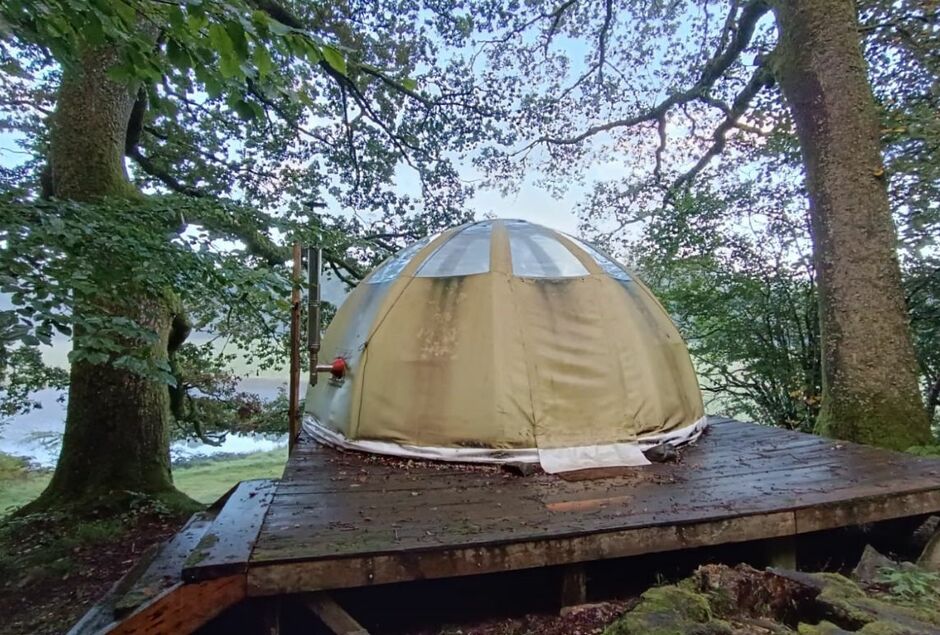 VENEZ PARTAGER UN MOMENT MAGIQUE, LE BRÂME DU CERF !