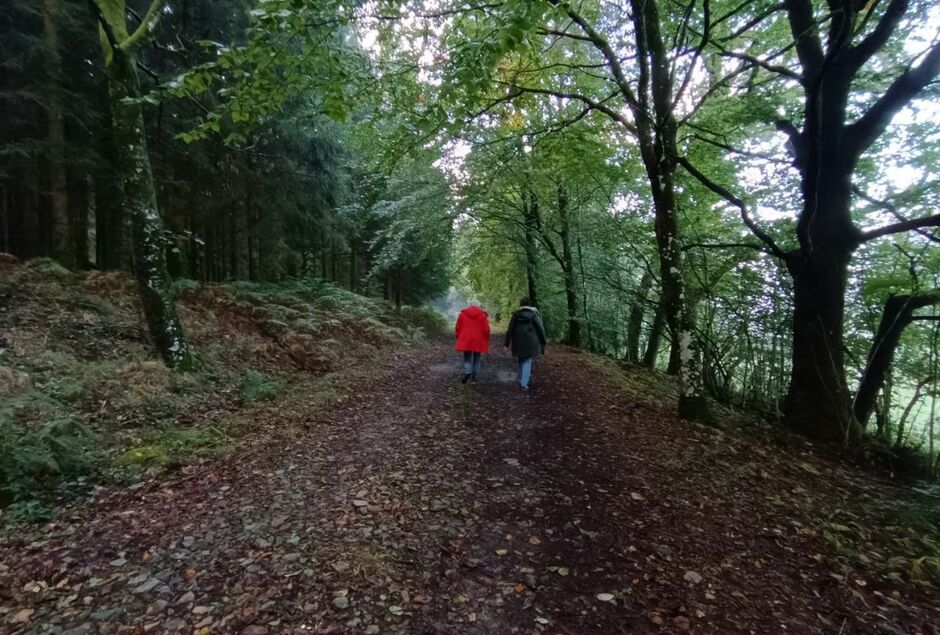 VENEZ PARTAGER UN MOMENT MAGIQUE, LE BRÂME DU CERF !