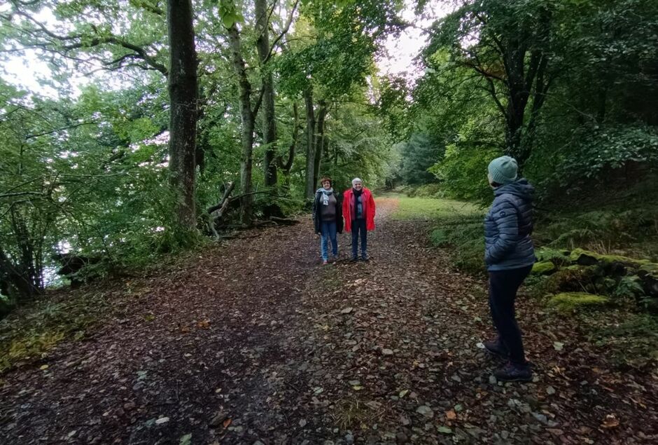 VENEZ PARTAGER UN MOMENT MAGIQUE, LE BRÂME DU CERF !